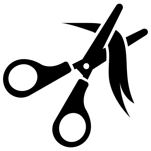 Image path not found